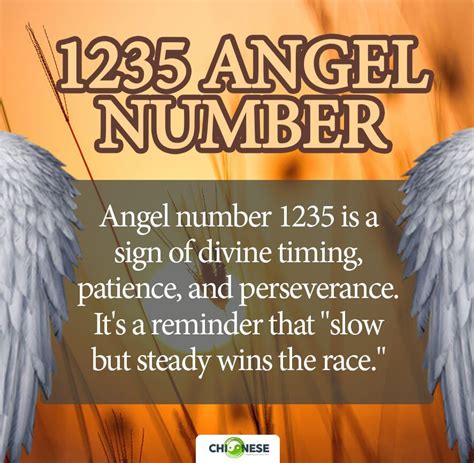 1235 angel number twin flame|Angel number 1235: Meaning and Symbolism, Twin flame, and Truth